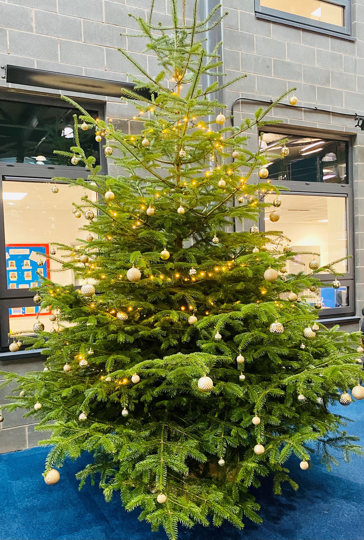 Christmas Tree